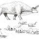 Illustration for article titled Interview with speculative zoologist Dougal Dixon